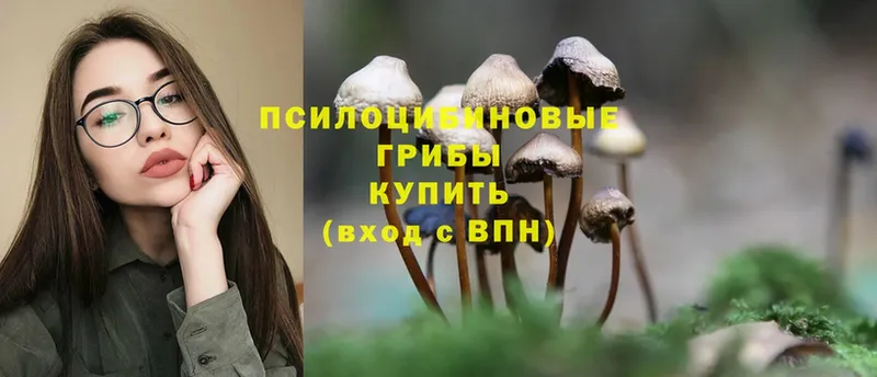 Псилоцибиновые грибы MAGIC MUSHROOMS  Калязин 